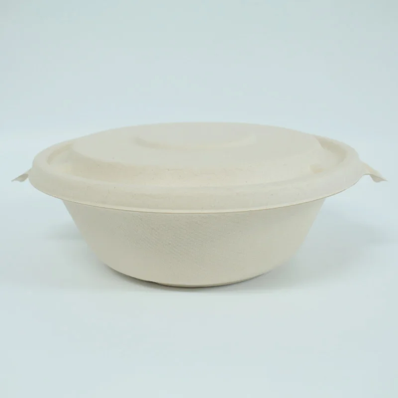 Natural Degradable Compostable Take Out Food Bento Container Box Biodegradable Disposable Sugarcane Bagasse Bowl