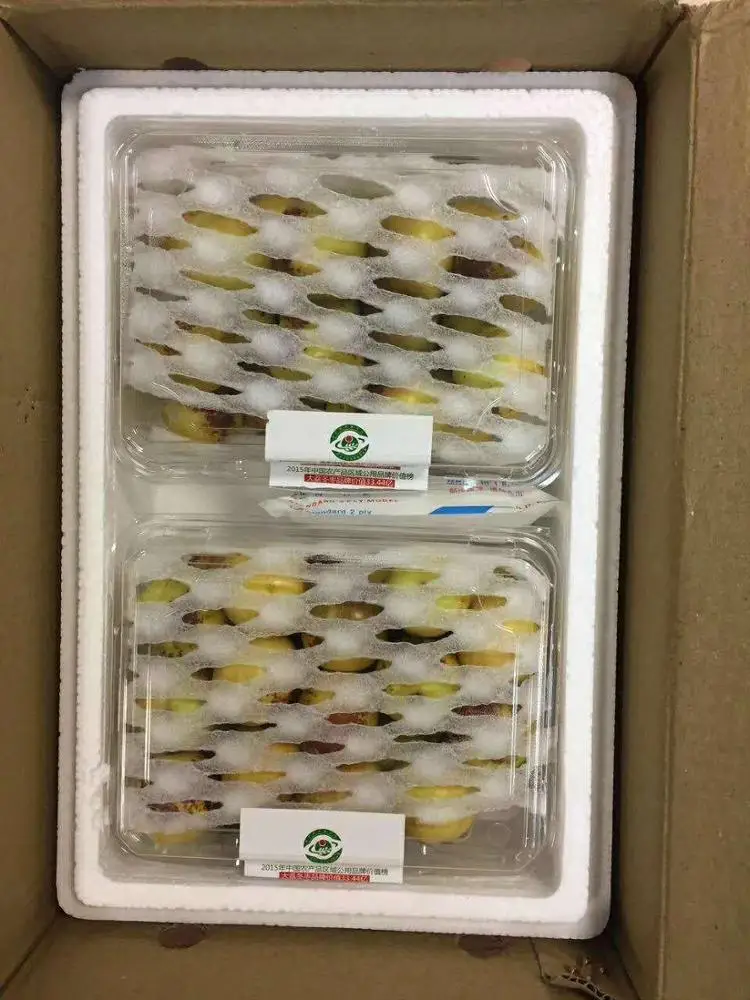 
Fresh Style New Crop Export Grade Jujube fruits Winter Jujube In New Zealand 