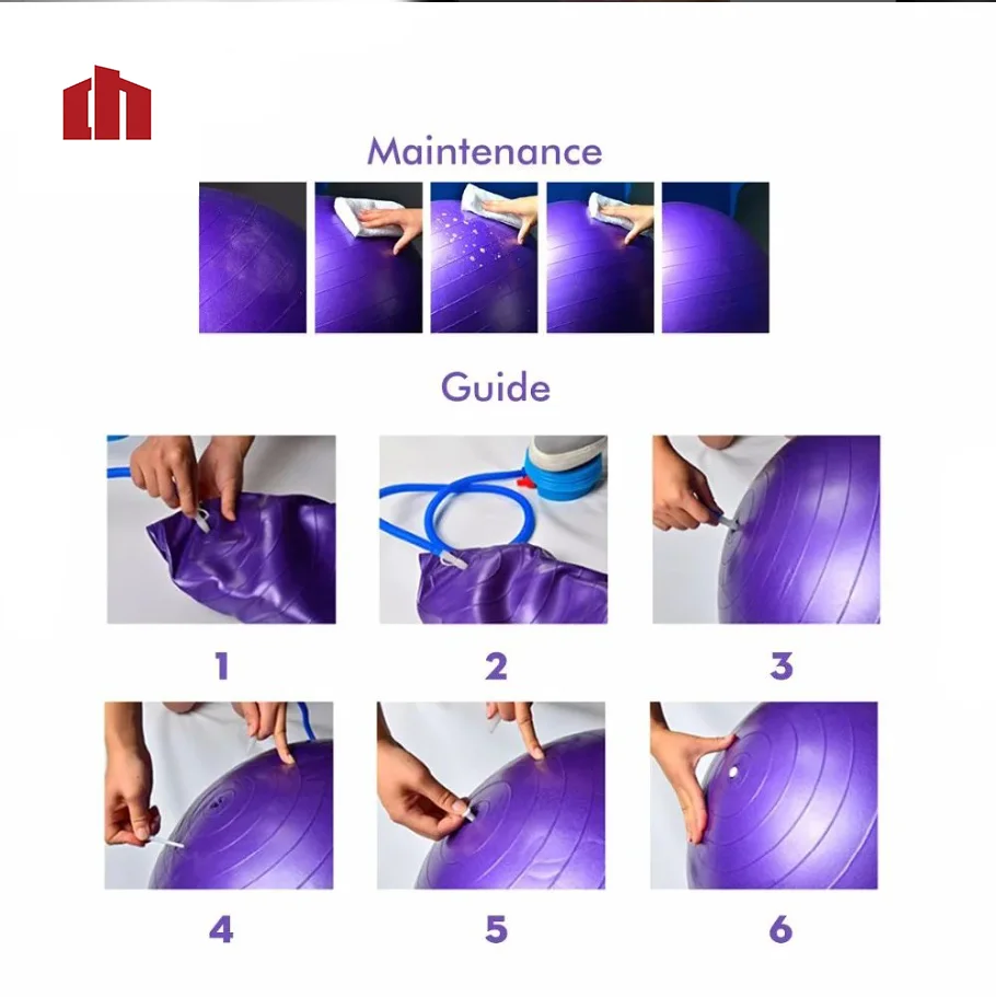 Wholesale Anti-Burst round Pilates Balance Black Custom Printed de Massage 65cm Exercise PVC Yoga Ball with Anti-Slip Features