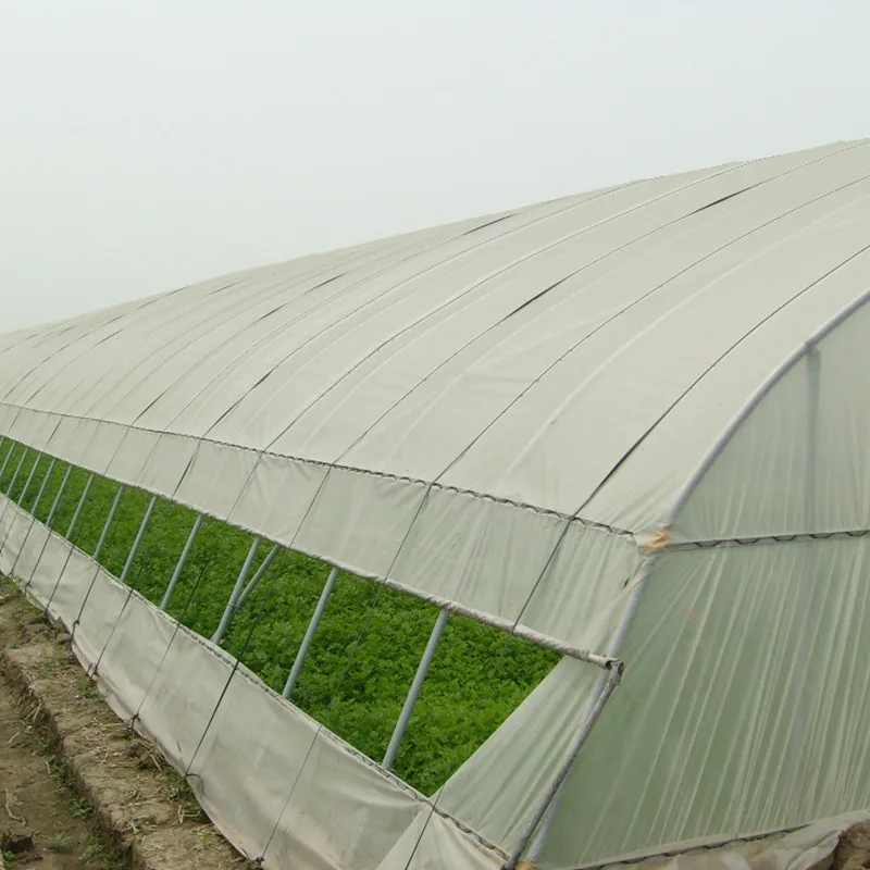 
Agricultural multi-span arched plastic film greenhouse tomato greenhouse project 