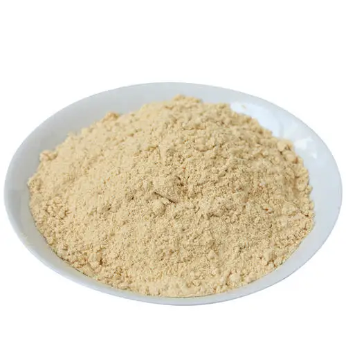 
High quality Zingiber Extract Ginger powder Gingerol wholesale 