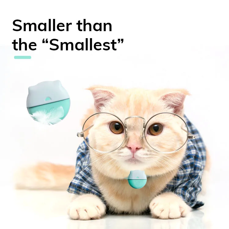 Mini GPS Tracking Collar EV-206M Small Pet 4G GPS Tracker for Dogs and Cats