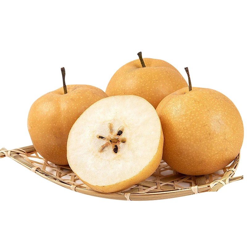 China New Crop Fresh Ya Pear Chinese Fresh Pear Fruit Juicy Pear