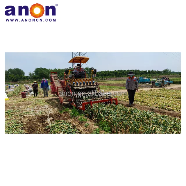 ANON  mini 8 rows high efficiency garlic combine harvester garlic harvesting machinery