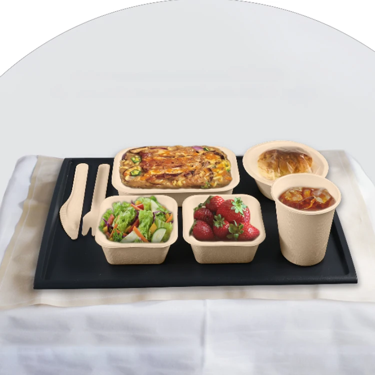 Inflight Microwavable Wholesale Bagasse Casserole Food Boxes Biodegradable Airline Sugarcane Casserole