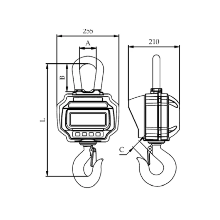China electric lcd 30kg 50kg 100kg 150kg 200kg 300kg crane scale