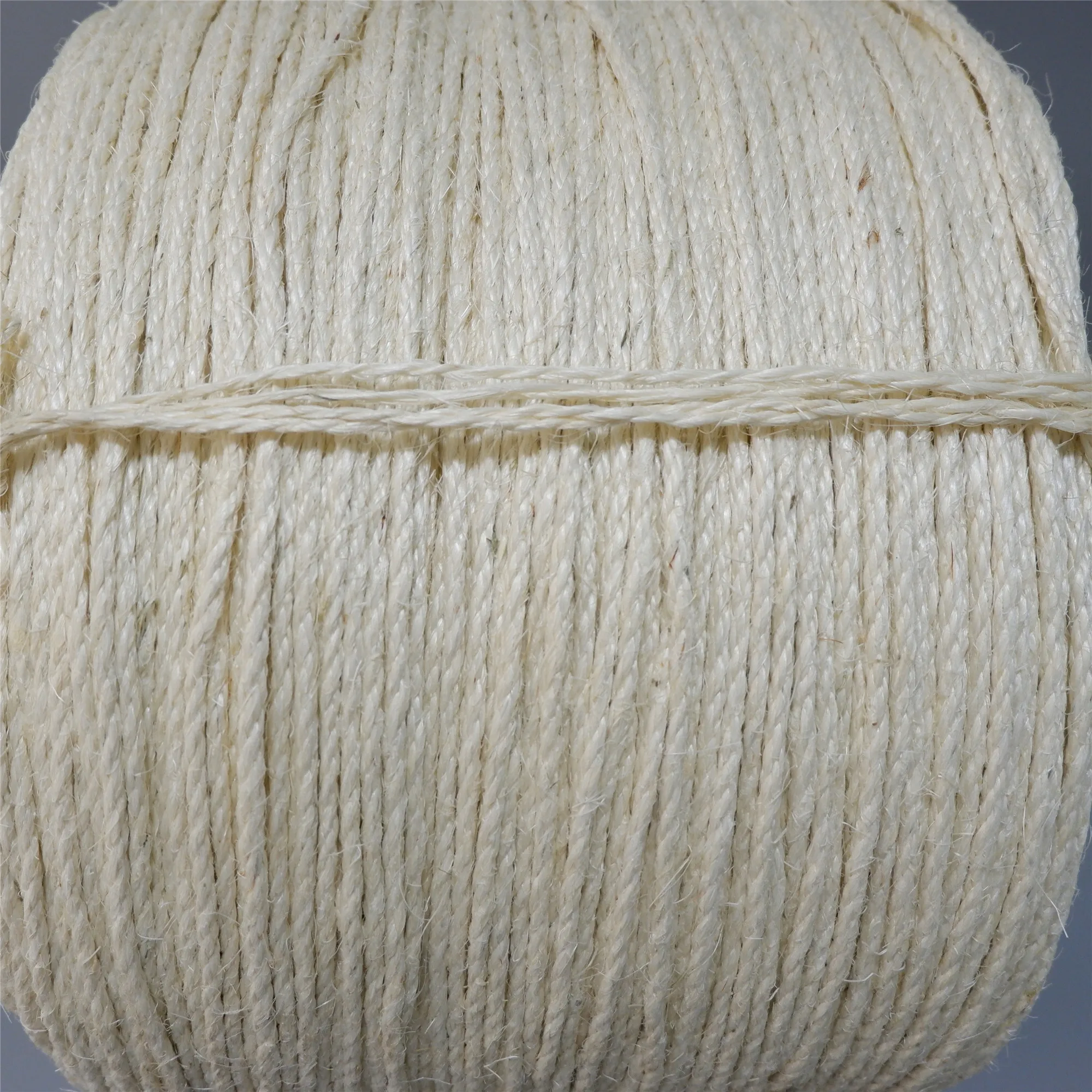 cat climber pet rope