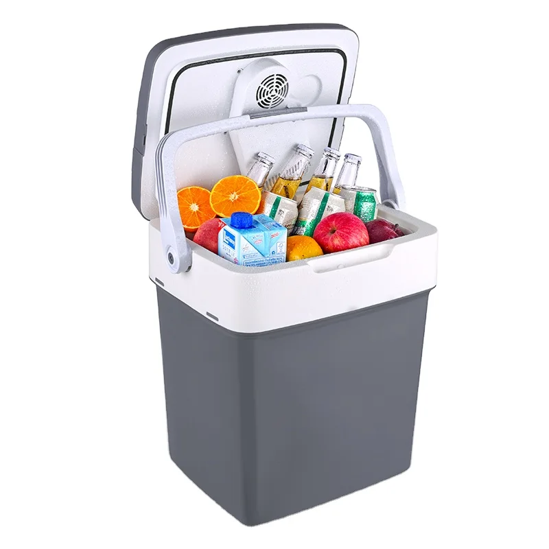 Portable 29L dc 12V AC 240V car fridge outdoor cooler  for car