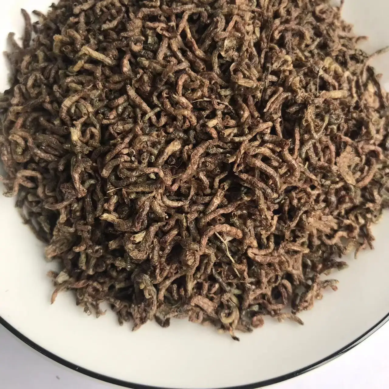 Blood Worm Freeze Dried Bloodworm Fish feed Edible Bloodworm for Fish