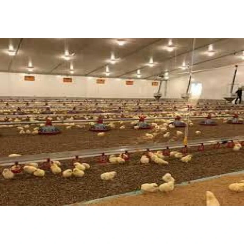 Конструкция с одной шириной предварительно изготовленная конструкция быстрая сборка домашняя птица курица стальной