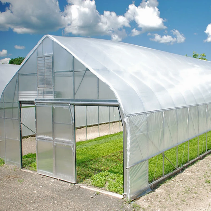 Hot Galvanized Greenhouse Film Lock Channel Wiggle Wire