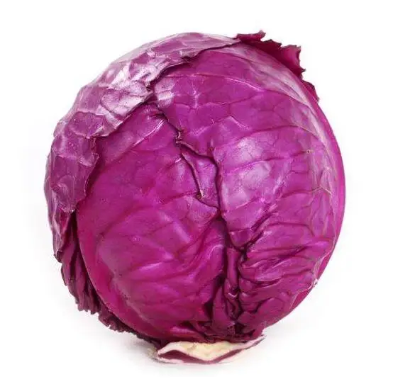 
high yield and early maturity strong antivirus hybrid purple cabbage seeds 