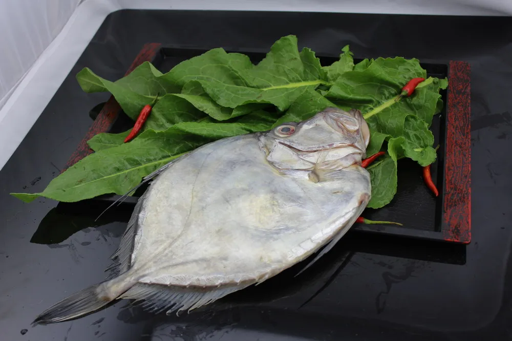 
frozen john dory fillet skin on 