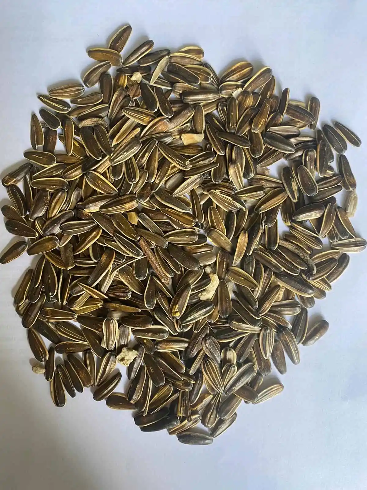 Sunflower Seeds Trading Packaging Big Bags New Bird Food Raw Natural 2022 The Most Popular Striped Sunflower Kernel BREVIS LTD