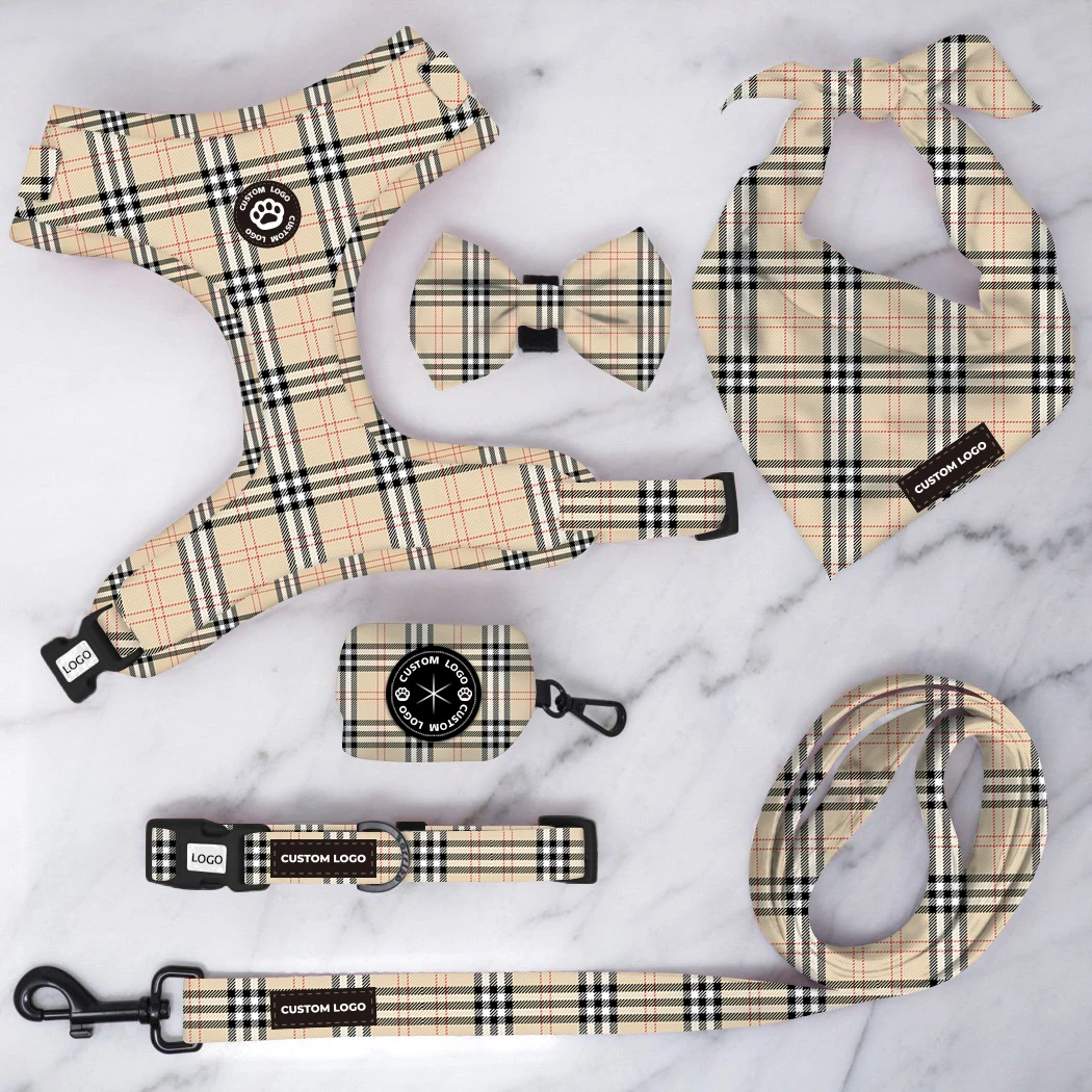 Custom Colorful Puppy dog harness 6Pcs set Pet accessories high quality luxury harness dog