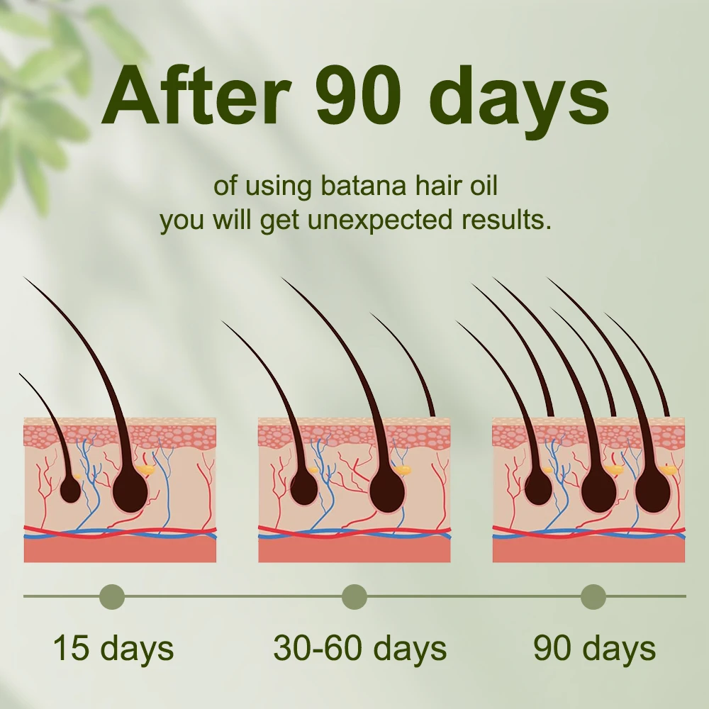 Batana Oil For Hair Growth Private Label Honduras Organic Essential Oil In Bulk Stimulate Scalp Hair Follicles DHT Blocker Serum