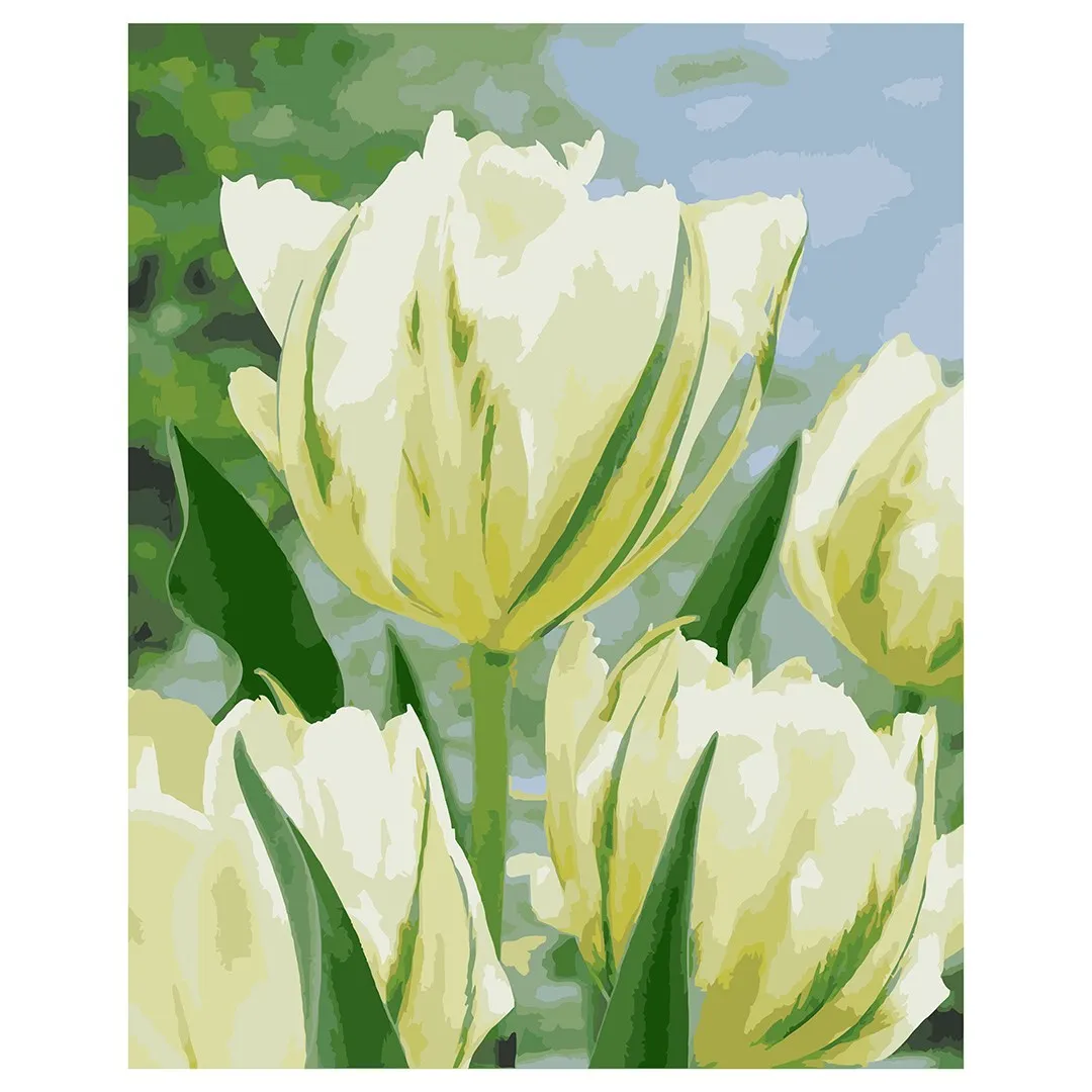 Manufacturer Wholesale Beautiful Tulip Flower Painting by Numbers DIY hand-painted Painting by Numberskit adult home decoration