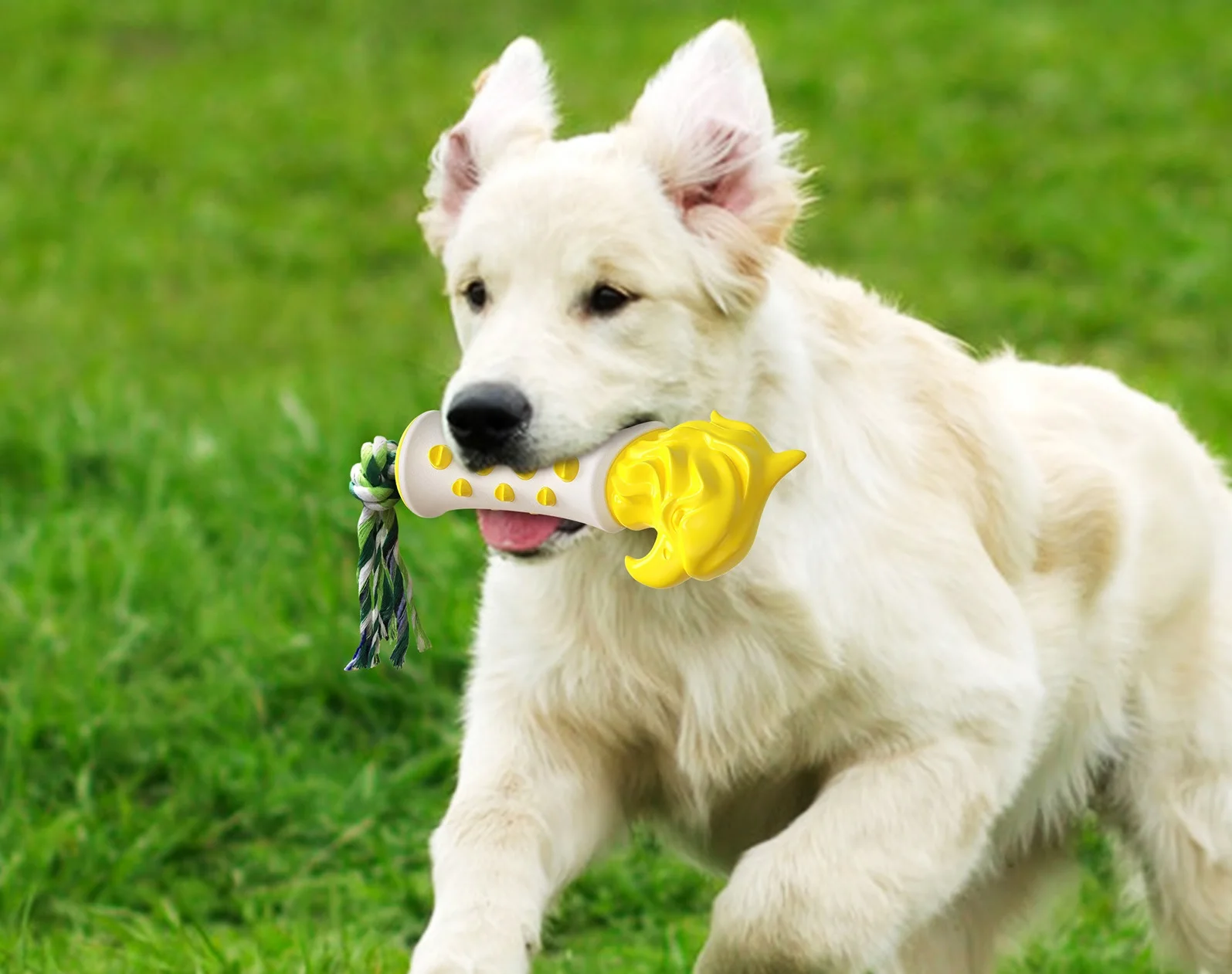 Интерактивная жевательная игрушка на присоске с кроликом для собак игрушки домашних