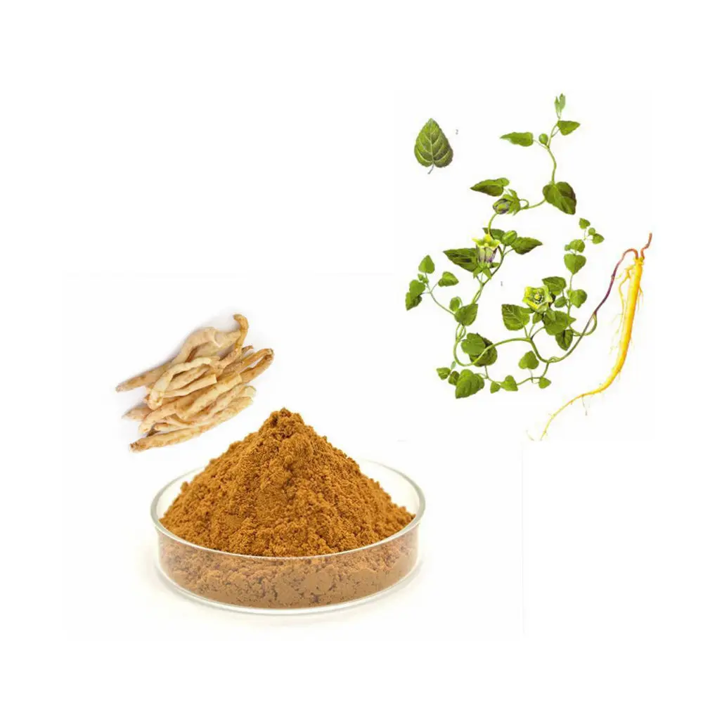 Traditional Chinese Medicinal Plant Herbal Supplements Radix Codonopsis/Codonopsis Pilosula/Codonopsis Extract