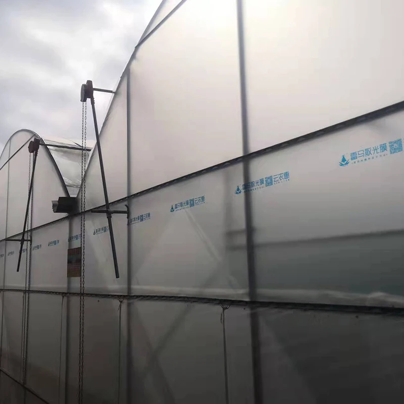 Factory Supply Agricultural Greenhouses Wholesale Manufacture of Covered Plastic Film with Stable Function