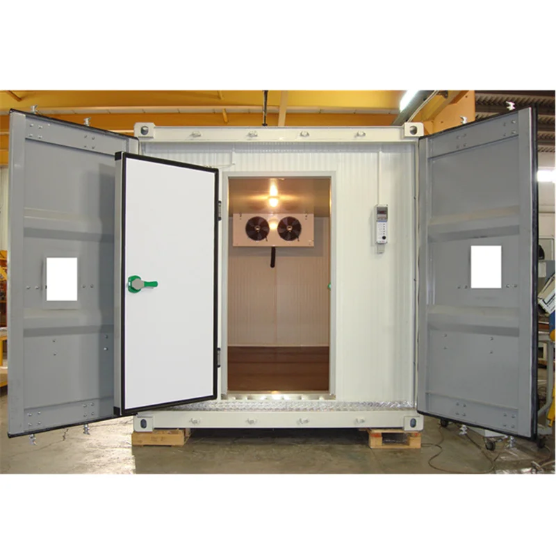 Commercial walkin freezer refrigerated container  cold storage  chambre froide coldroom