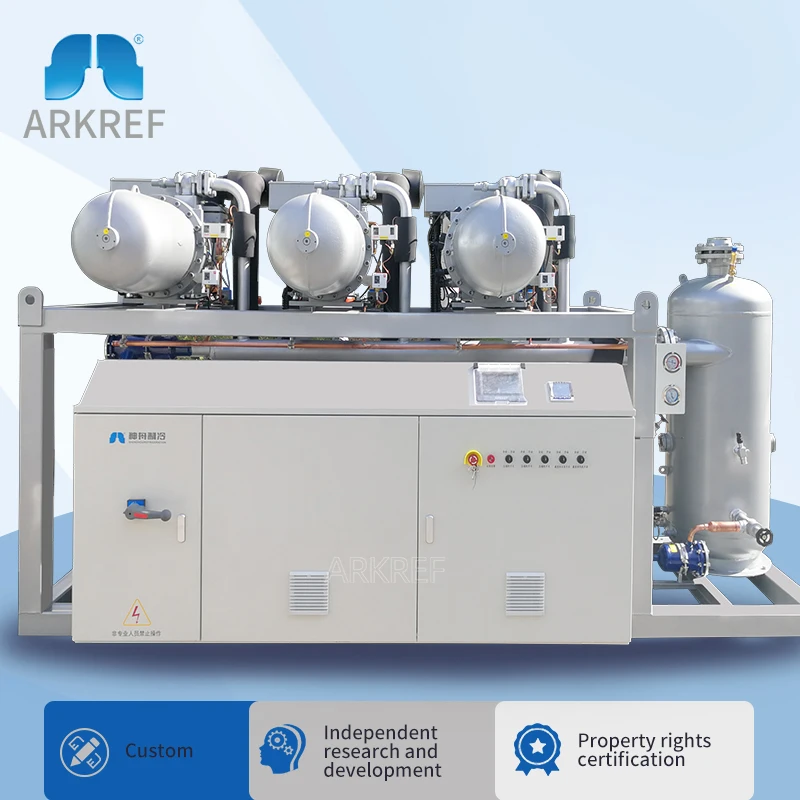 ARKREF Bitzer Screw Parallel Compressor Unit Compact Refrigeration Unit