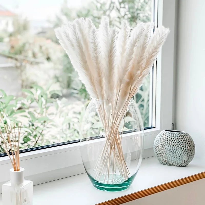 wholesale factory price of dried mini pampas grass on sale