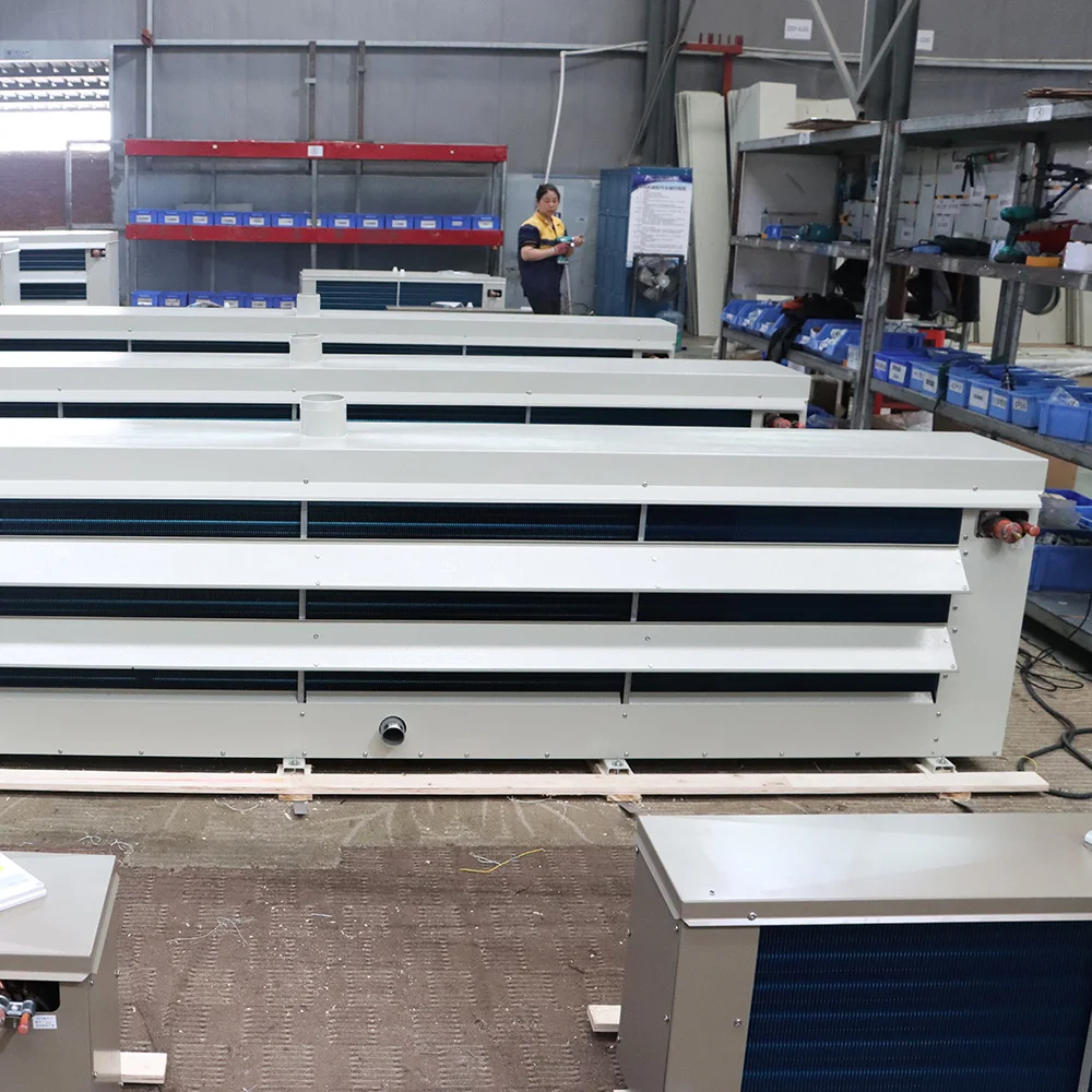 chiller water DL/DD/DJ Industrial Evaporative Cooler Large Supermarket vegetable Processing Chemical Refrigeration Equipment