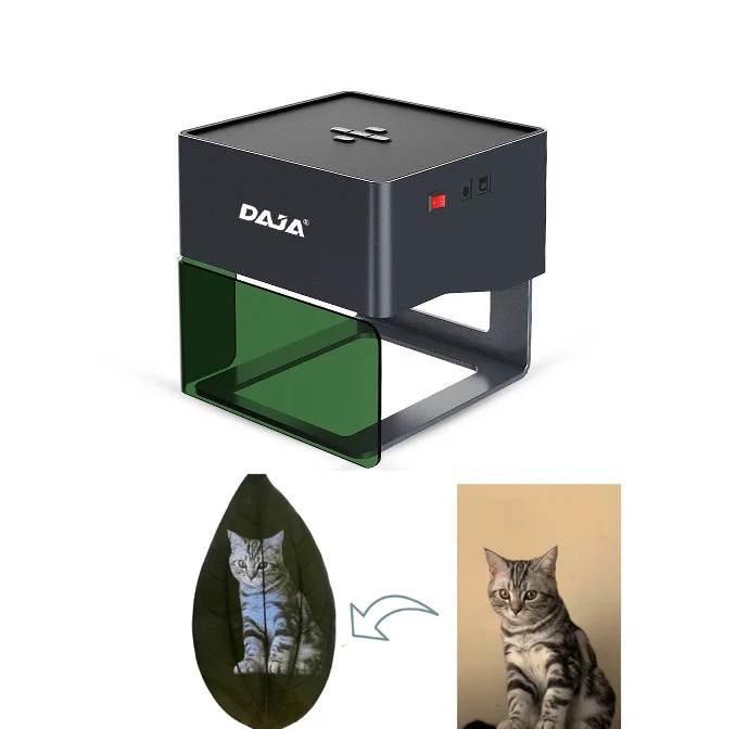 Hot Sale Low Price Leaf Carving Machine Leaf Face Engraving Laser Machine Portrait on Leaf Machine