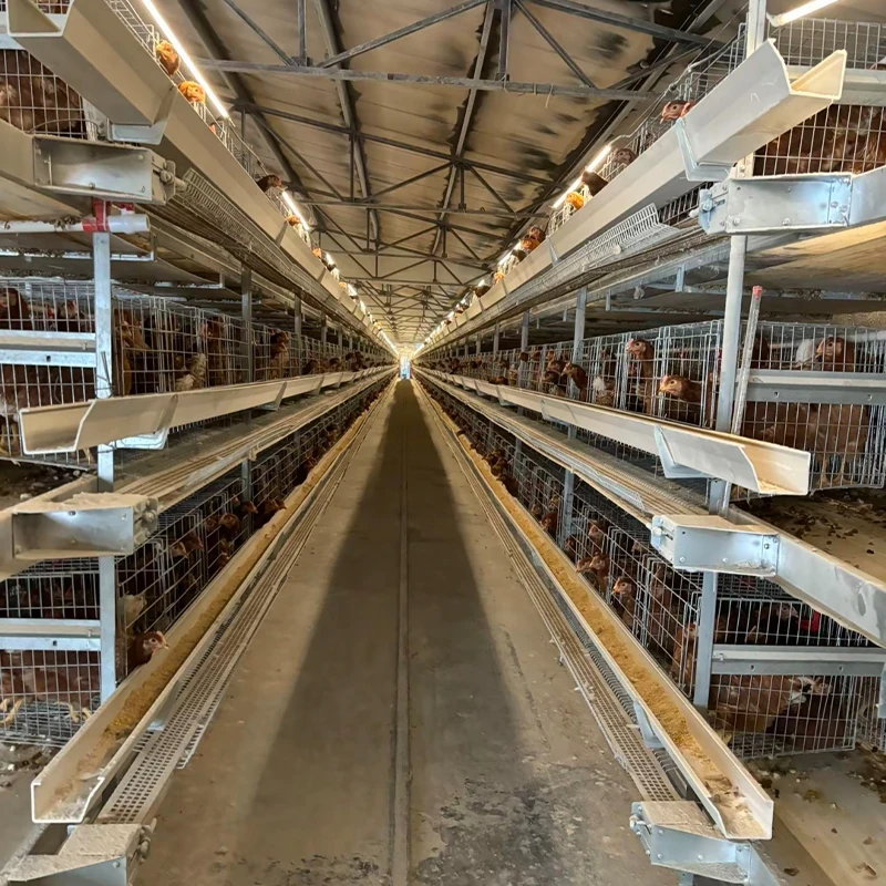 Good Price H-Shaped Chicken Layer Cage Full Automatic for Poultry Farm Coop for Chicken Rearing