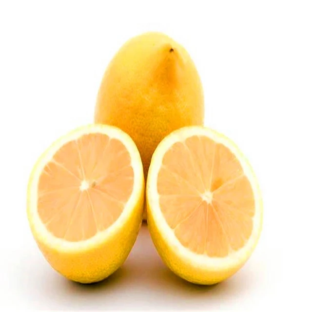 
 Свежий оптовый стиль и общий желтый Размер 88 125 138 лимон Anyue лимон Китай выращенные фрукты желтый лимон органический свежий лимон   (1600210377707)