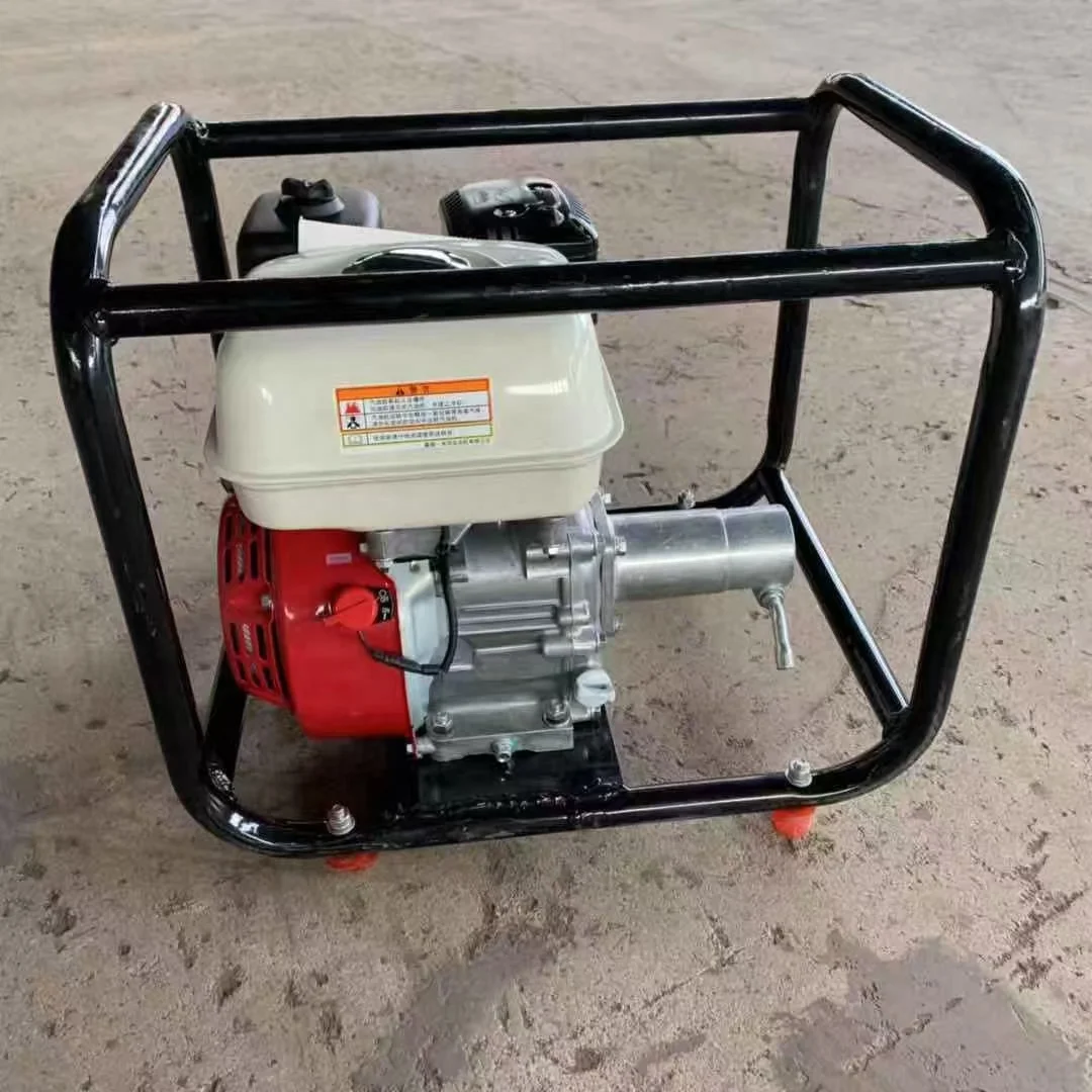 Professional Portable Concrete Vibrator with Gasoline Power 220V Internal Surface Type Engine and Motor Core Components