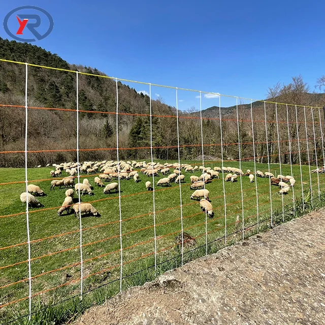 48 Inch tall and 164ft long Poultry/Goat/Sheep Netting Electric Fence Netting/plastic Poultry netting