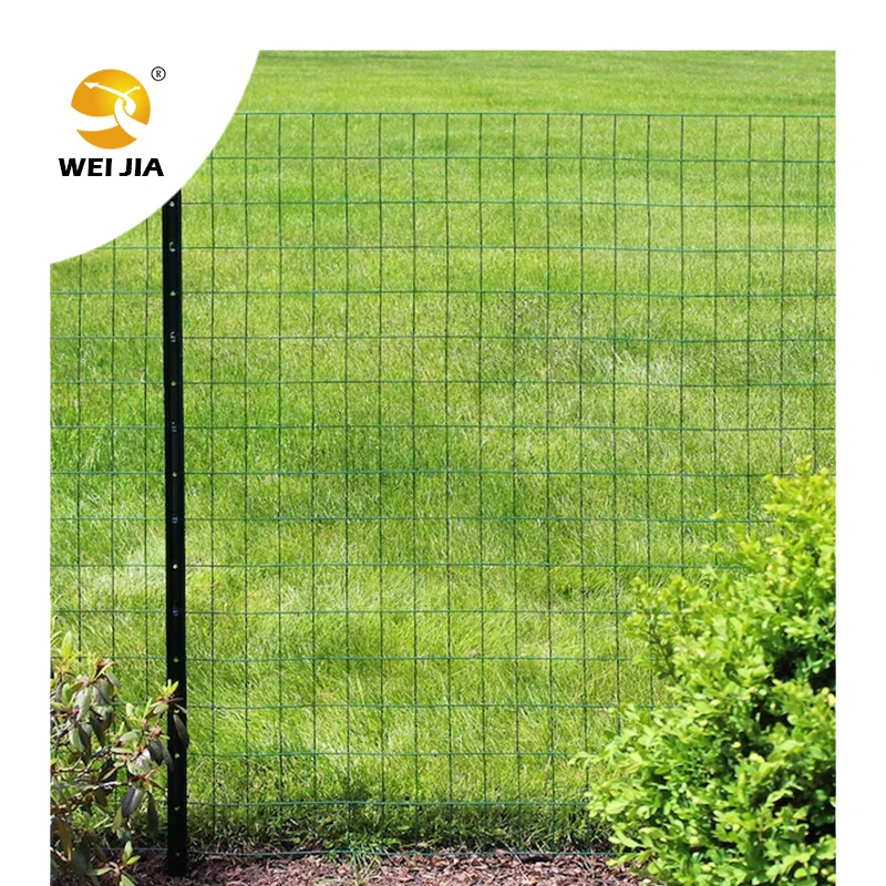 OEM Factory Black Green PVC coated Welded wire mesh for garden fence wire mesh