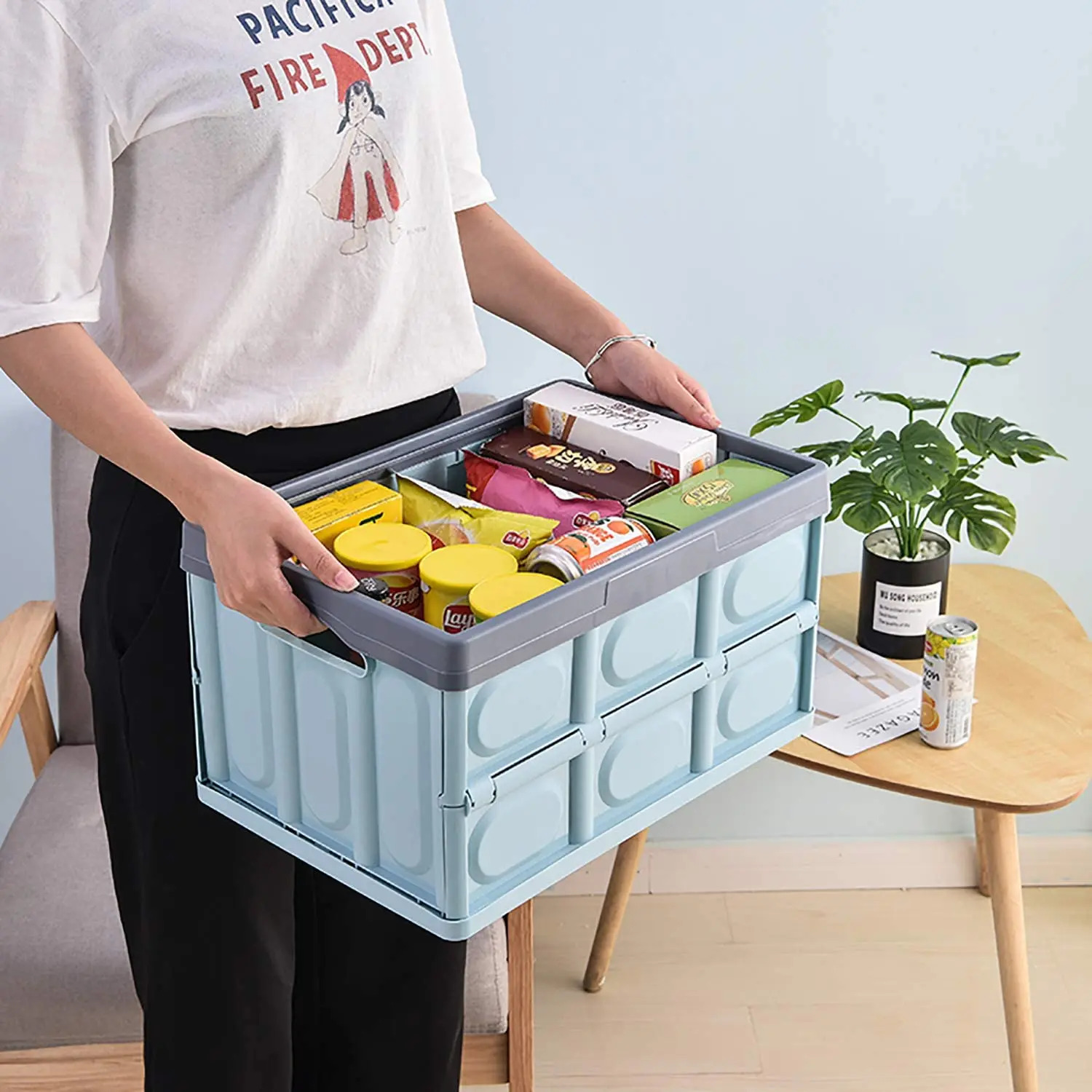 Lidded Storage Bins 2 Pack 30L Collapsible Storage Box Crates Plastic Tote Storage Box Container Stackable