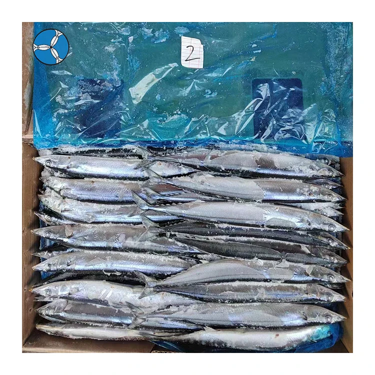High Quality Pacific Saury #5 Frozen Saury Whole Fish In Market