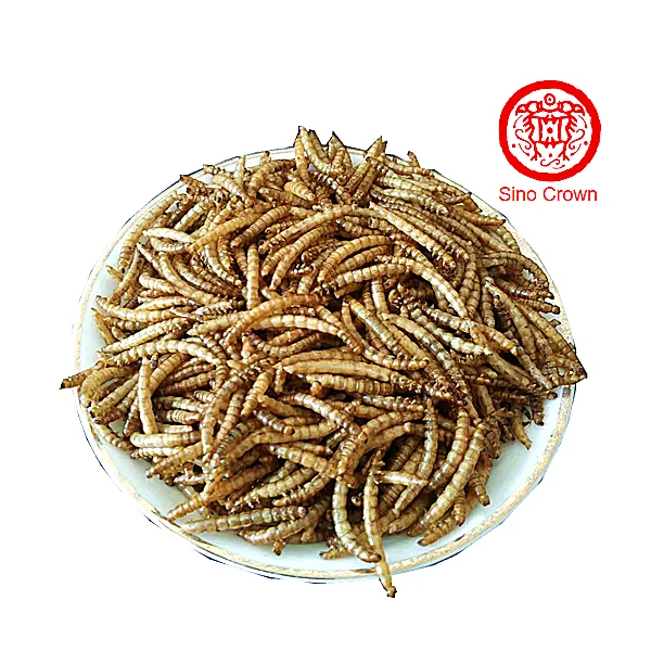 Хомяк Mealworm, еда, хлеб, червь, сухие ежики, закуски, Мой сосед Тоторо, морская свинка, корм, черепаха, еда, сушеные черви