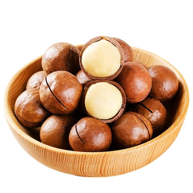macadamia in shell roasted nuts OEM service wholesale top quality milk/ coffee/ customize flavor own planting base