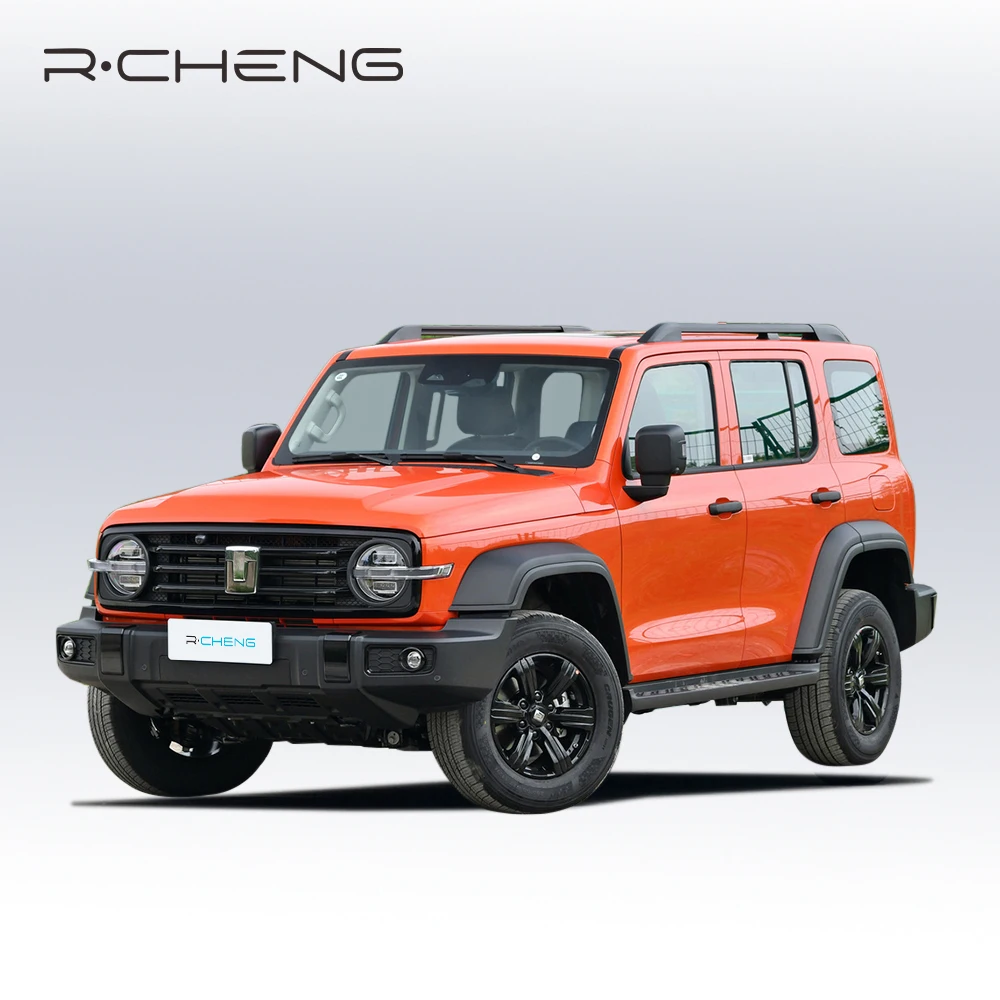 Brand New Tank 300 Car Hard Core Mid-size SUV Luxury Petrol Car off Road SUV 4X4 Tank 300