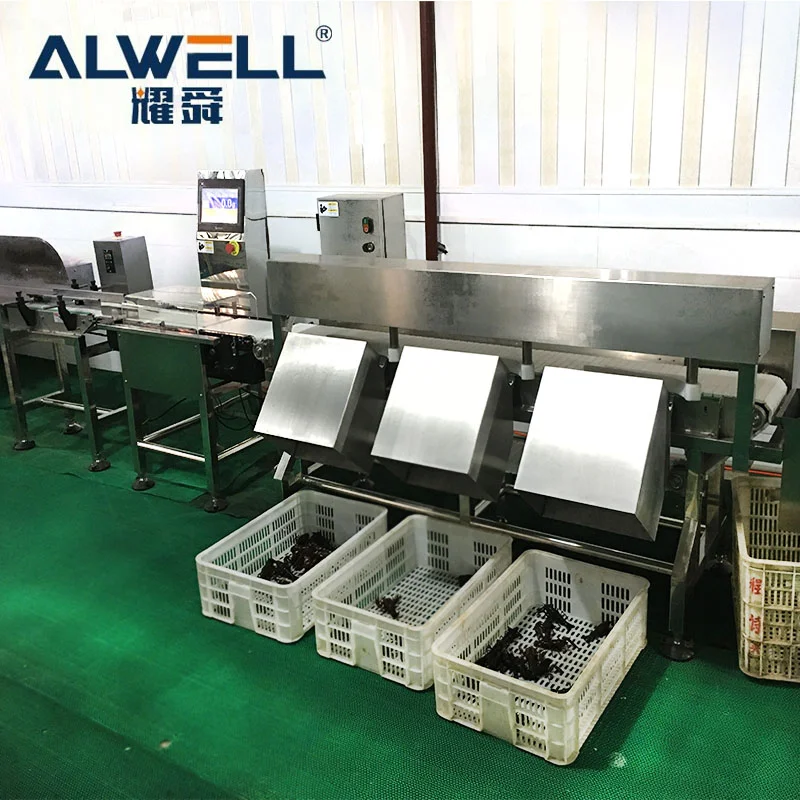 Hot sale full color touch screen fish steak seafood chicken grading machine fix weight intelligent system sorting machine