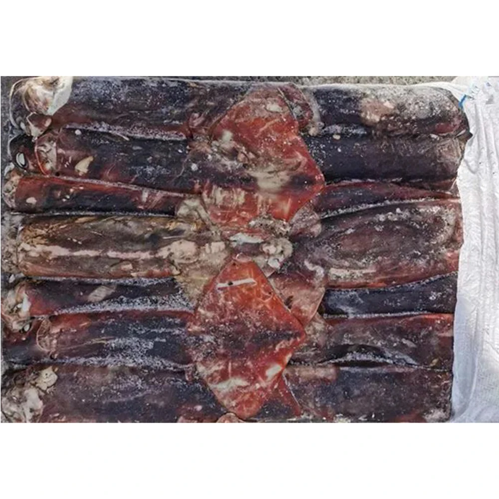 High quality gigas squid frozen white squid 22cm 12cm illex squid price
