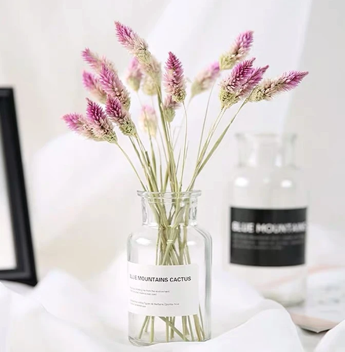 Natural Flowers Preserved Dried Flowers for Decoration Wedding Bouquet