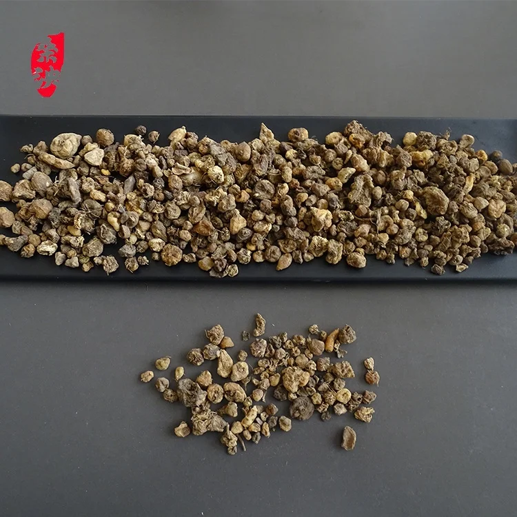 High-quality natural dried Shanzi mushroom for clearing away heat and detoxification