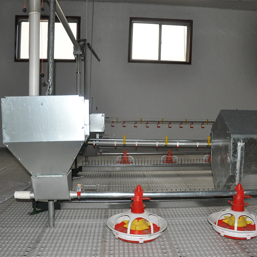 Farming Equipment automatic chicken feeders and drinkers nipple drinkers feeding line system for chicken coop/ poultry