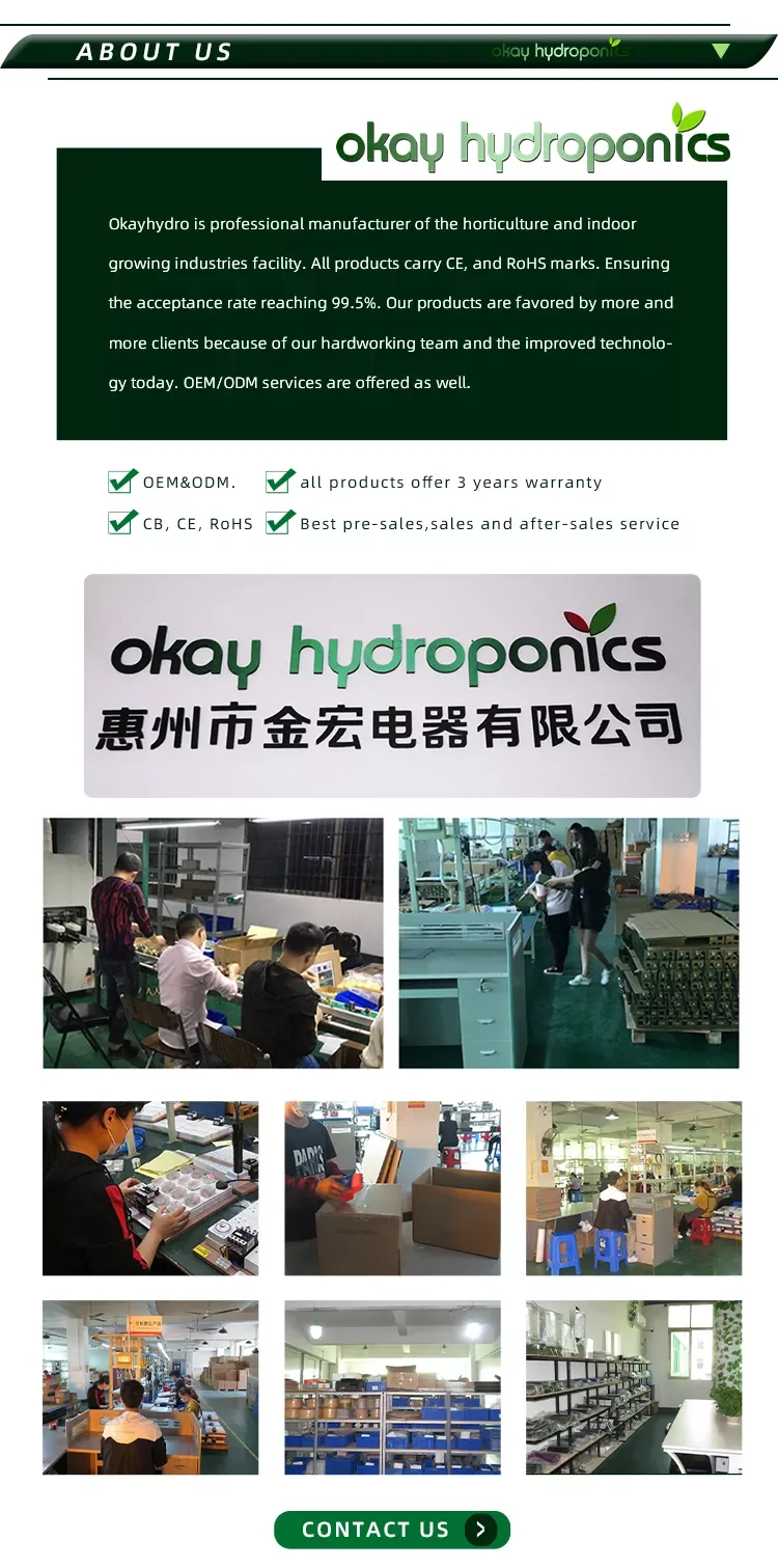 paste-pic-dp_uuid_v72d5