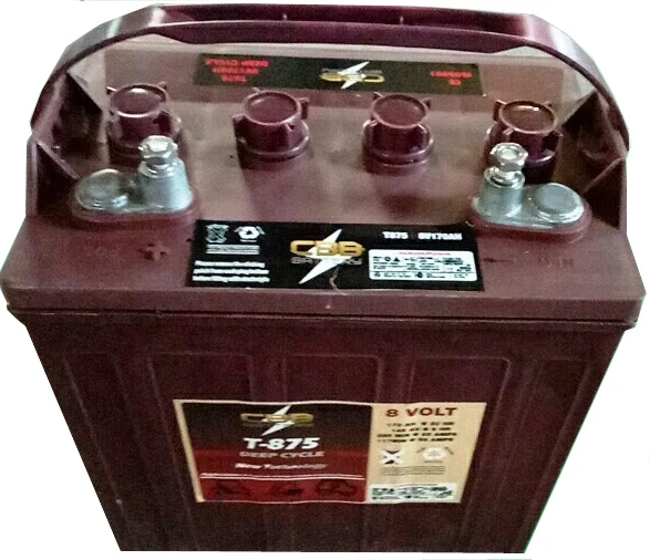 8V 170Ah T-875 Deep Cycle Battery For Golf Cart, Sweeper