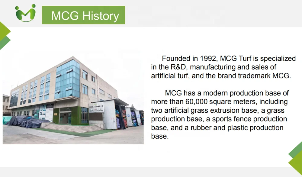 MCG Customization Different Size Soccer Pitch Cage Football Pitch Soccer Court