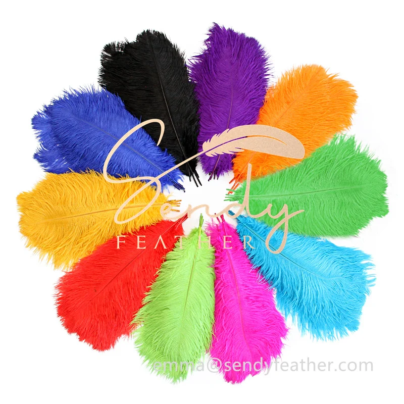 Wholesale Large feather wing plumas feathers ostrich for wedding wall Halloween performance dance carnival feather costumes