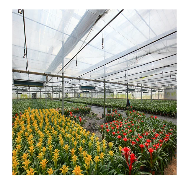 Wholesale Intelligent Climate Control System Glass Dome House Glass house Other Greenhouses For Vegetables/Flowers