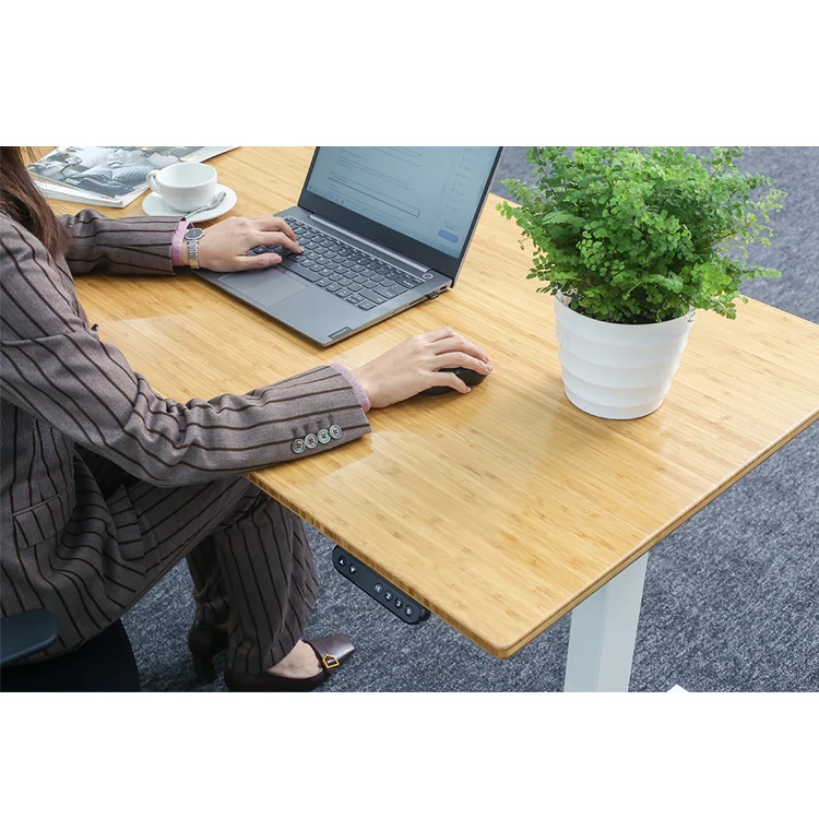 Dual Motor Intelligent Height Adjustable Ergonomic Electric Sit Stand up Desk Frame Standing Tables Legs Lifting Column